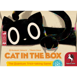 Cat in the Box