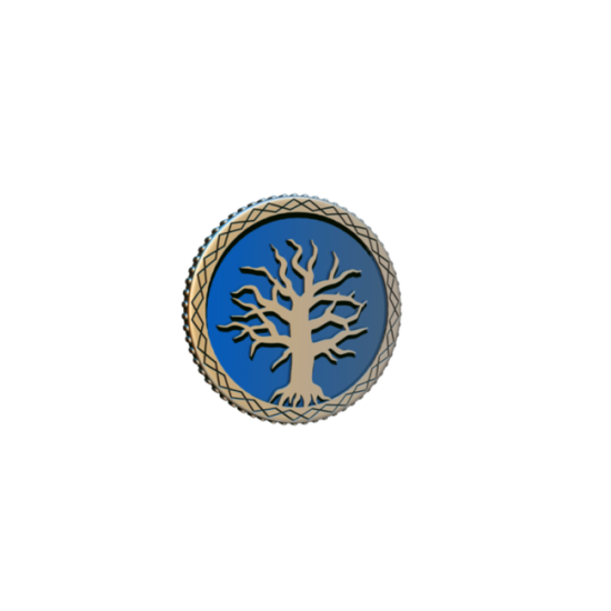 Frosthaven - Challenge Coin Frosthaven - Challenge Coin