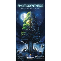 Photosynthesis - Under the Moonlight