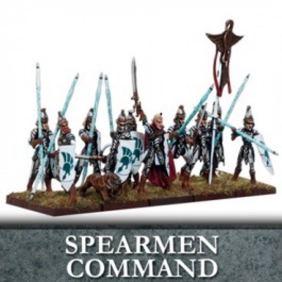 Elf Spearmen Command