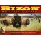 Bizon