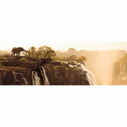Panorama Puzzel - Elephant