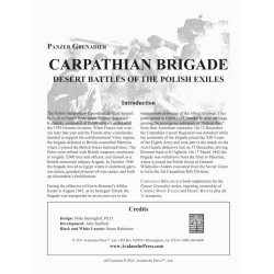 Panzer Grenadier: Carpathian Brigade
