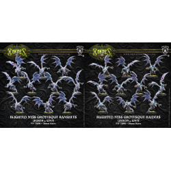 Legion of Everblight - Grotesque Raiders or Banshees