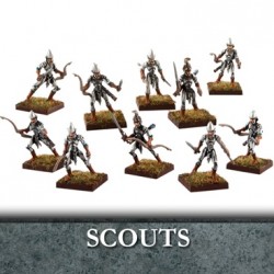 Elf Scout Patrol Troop