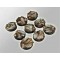 Temple of Time Ruins Bases Rond 30 mm (5 stuks)